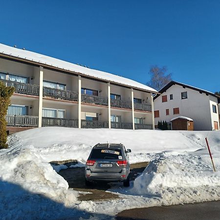 Schoene Ferienwohnung Im Suedschwarzwald Herrischried Zewnętrze zdjęcie